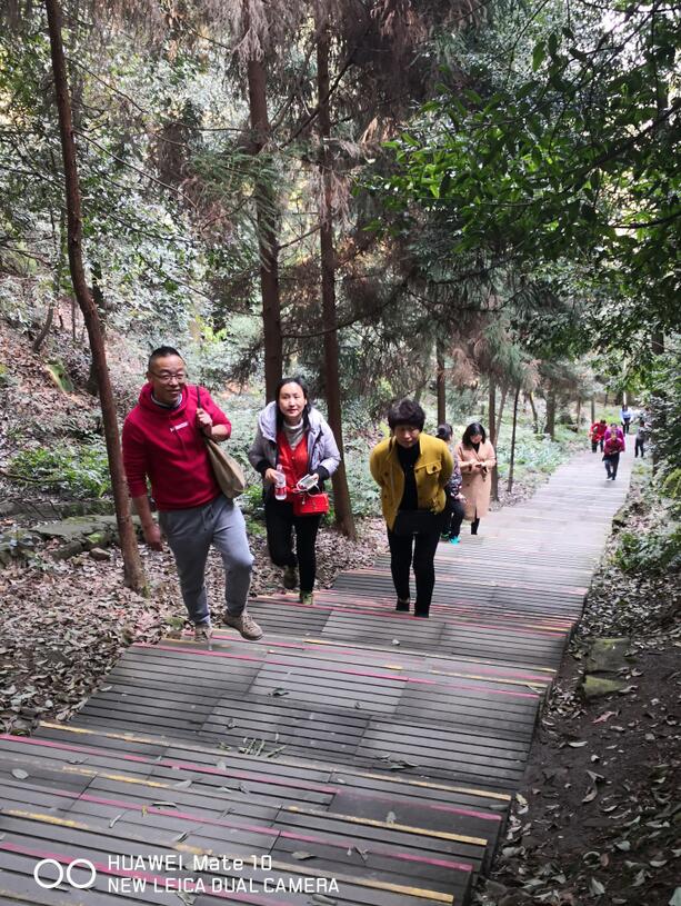 必赢3003no1线路检测中心