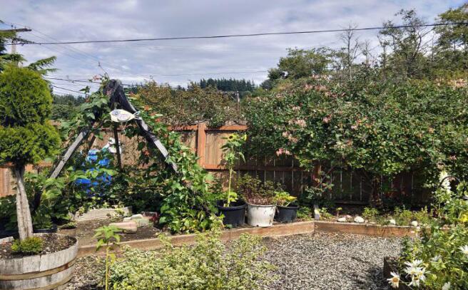 必赢3003no1线路检测中心